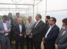 سرمایه‌گذاری ۲.۲ هزار میلیاردی در احداث گلخانه‌ها