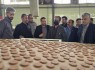 پیگیری جدی دولت برای رفع معوقات کارگران و کارآفرینان