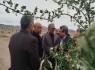 ایجاد پارک جنگلی زاهدان، الگویی برای سایر شهرها