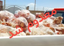 کشف ۱ تن فرآورده خام دامی غیربهداشتی در زاهدان