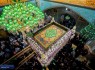 میلاد خورشید هشتم فرصتی برای کرامت