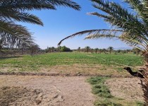 نظارت مستمر بر اراضی کشاورزی زاهدان