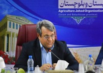 تأمین مطلوب کالاهای اساسی و گوشت قرمز سیستان‌وبلوچستان