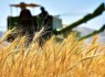 خرید تضمینی گندم، محور تقویت تولید ملی کشور