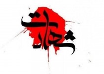 شهادت مرزبان هنگ مرزی میرجاوه در سانحه رانندگی