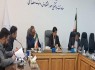 گام تازه سیستانوبلوچستان در توسعه انرژی خورشیدی گام تازه سیستانوبلوچستان در توسعه انرژی خورشیدی