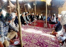 تقویت خدمات دامپزشکی در مناطق عشایری منطقه سیستان