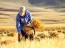 خرید ۳۵ هزار تن گندم از کشاورزان سیستان‌وبلوچستان
